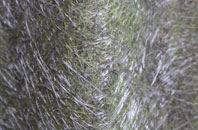 Burnhope fibreglass roof work